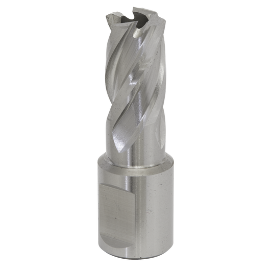 Sealey Rotabor Cutter HSS M2 Steel 15mm Cut Depth 25mm Magnetic Drill RBHSS15S