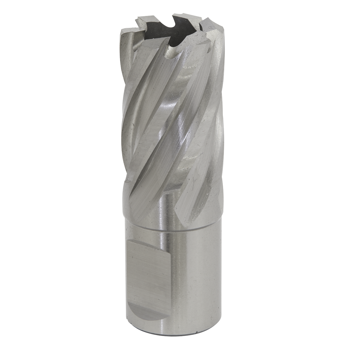 Sealey Rotabor Cutter HSS M2 Steel 20mm Cut Depth 25mm Magnetic Drill RBHSS20S