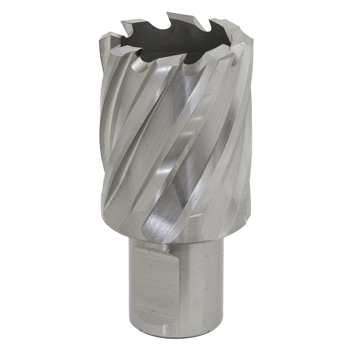 Sealey Rotabor Cutter HSS M2 Steel 29mm Cut Depth 25mm Magnetic Drill RBHSS29S
