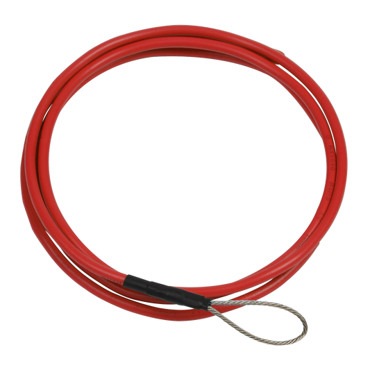 Sealey Wire Guide Tool Flexible Plastic Covered Wire With Attachment Loop RT1