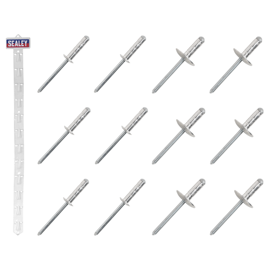 Sealey Clip Strip Deal - Aluminium Multi-Grip Rivets Standard Large Flange RVSET