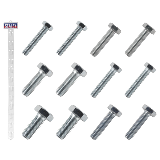 Sealey Clip Strip Deal - Set Screws M5 M6 M8 M10 With 12 Clips SCREWSET