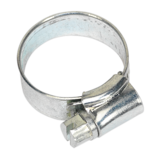 Sealey Hose Clips 20 Pieces Zinc Plated 22mm - 32mm 0.87" - 1.26" SHC0X