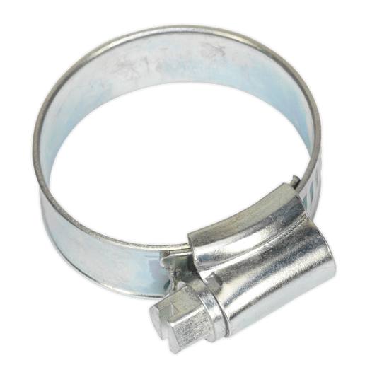 Sealey Hose Clips 20 Pieces Zinc Plated 32mm - 44mm 1.26" - 1.73" SHC1