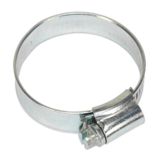 Sealey Hose Clips 20 Pieces Zinc Plated 38mm - 57mm 1.5" - 2.24" SHC245