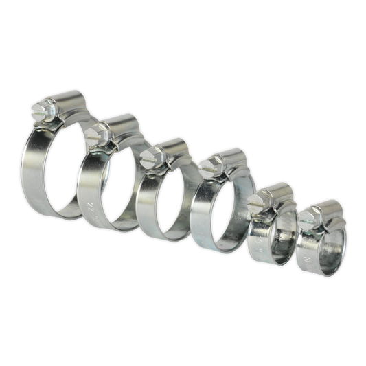 Sealey Hose Clips 30 Pieces Assorted Zinc Plated 10mm - 38mm 0.39" - 1.5" SHCS1