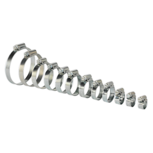 Sealey Hose Clips 85 Pieces Assorted Zinc Plated 10mm - 70mm 0.39" - 2.75" SHCS3