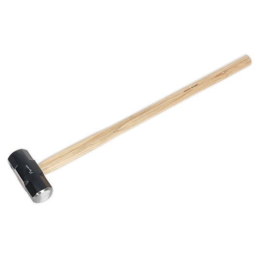 Sealey 10lb Sledge Hammer With Hickory Shaft For Daily Professional Use SLH10