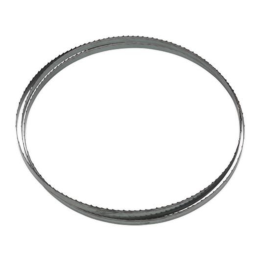 Sealey Blade With Hardened Steel Teeth 1712 x 10 x 0.35mm 6 TPI SM1304B06