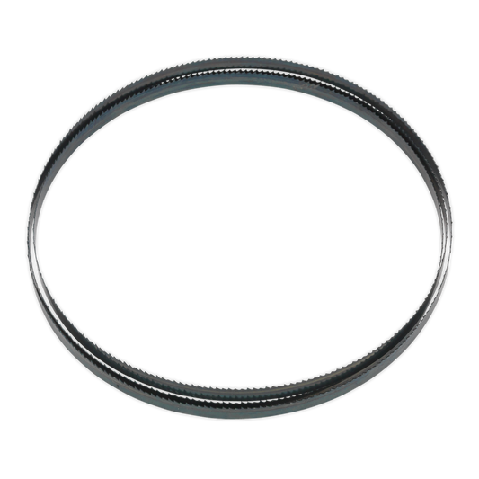 Sealey Blade With Hardened Steel Teeth 1712 x 10 x 0.35mm 10 TPI SM1304B10