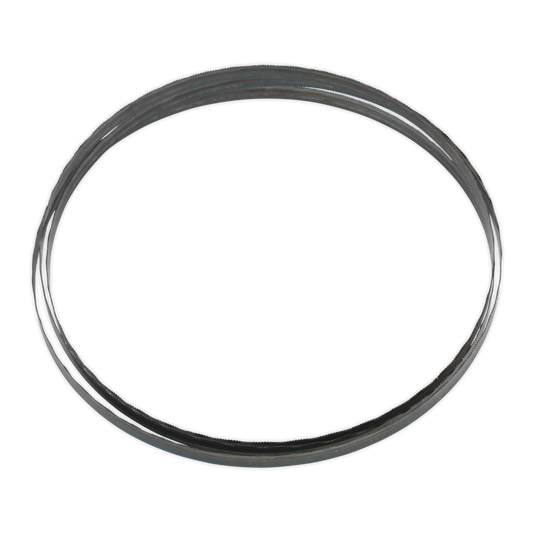 Sealey Blade With Hardened Steel Teeth 1712 x 10 x 0.35mm 24 TPI SM1304B24