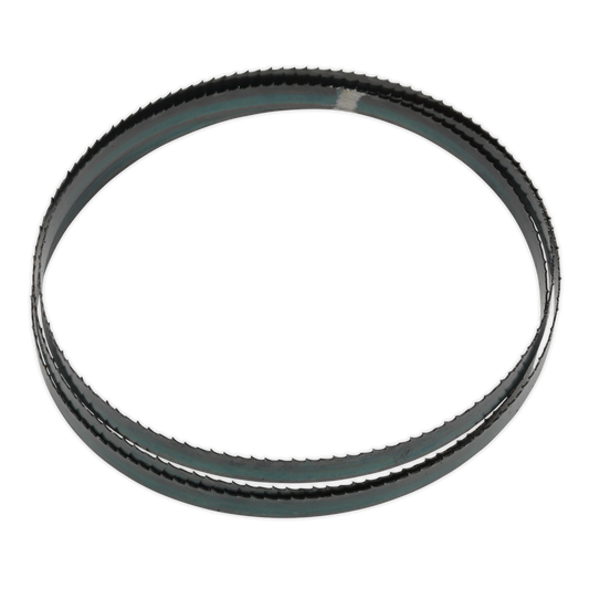 Sealey Blade With Hardened Steel Teeth 1638 x 13 x 0.63mm 6 TPI SM5/113/6