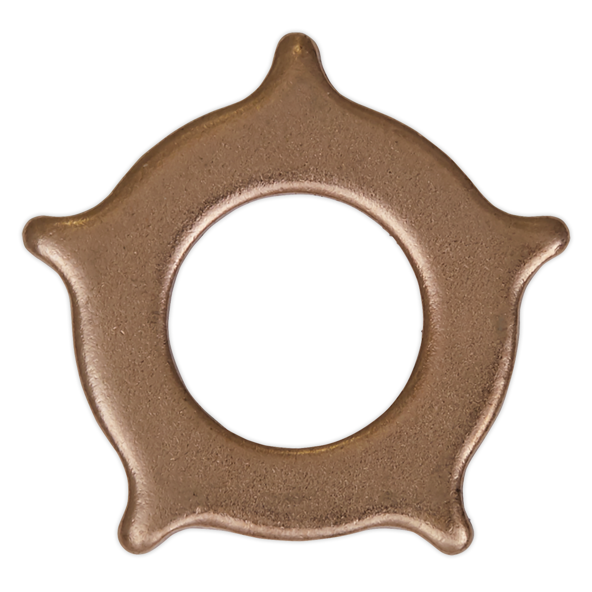 Sealey Welding Star Washers For SR2000 Welding 12x19x2mm x10 Pieces SR2000.SW